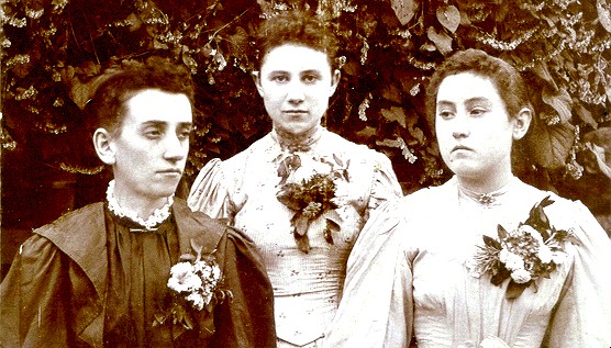 molliehawkins.jpg (90819 bytes)